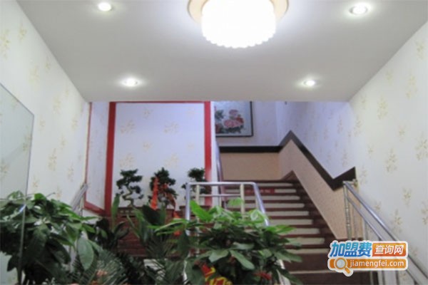 多丽士负离子多彩百变墙艺加盟费