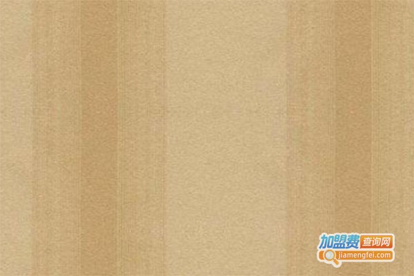 维舍卡颂石背景墙加盟费