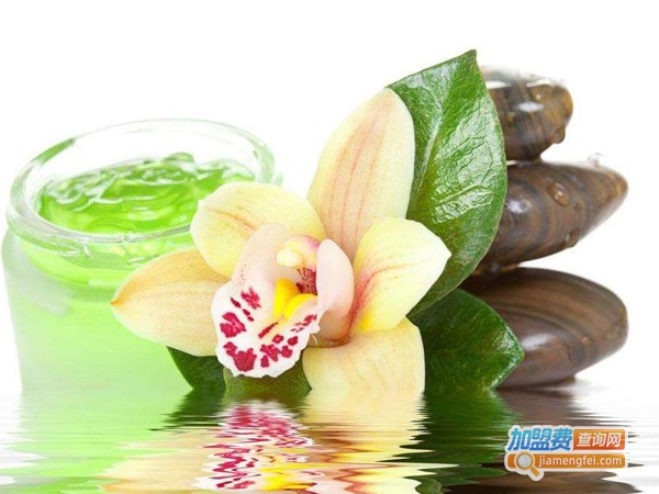 欧姿美雅化妆品加盟费