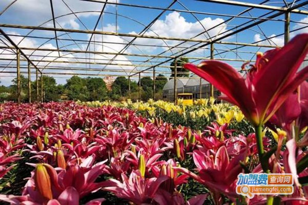 新大地农业加盟门店