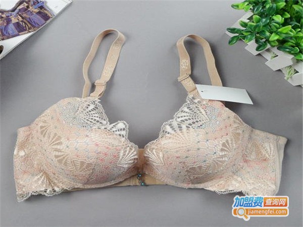 知心之恋内衣加盟门店