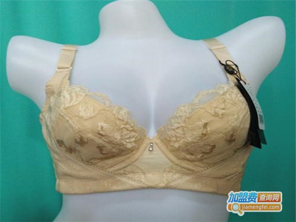 知心之恋内衣加盟门店