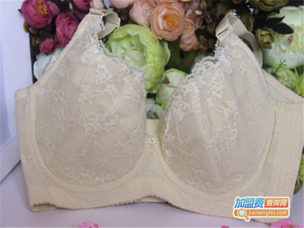 斯坦丽内衣加盟门店