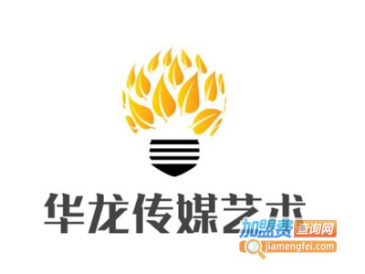 华龙传媒艺术加盟费