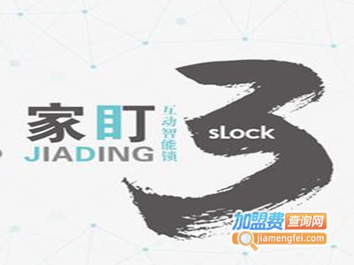 家盯互动智能安防加盟