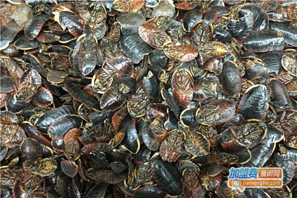 金叶环宇土元加盟费