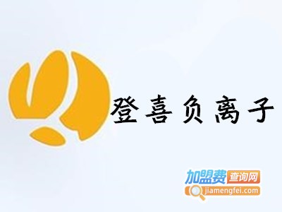 登喜负离子节能灯加盟