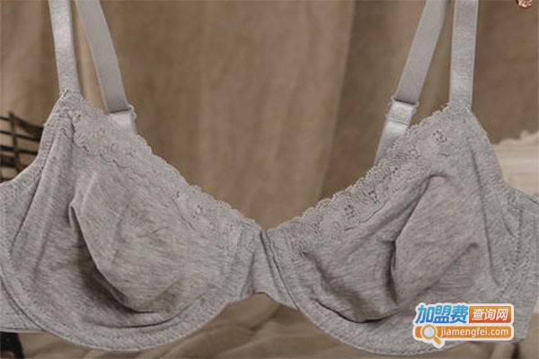 艾丽馨内衣加盟