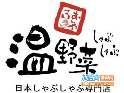 温野菜日本涮涮锅