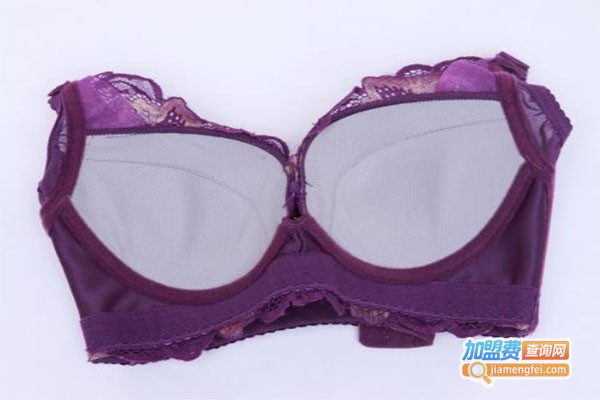 锐赢内衣加盟费