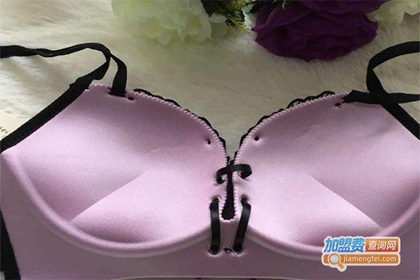 雪姬娜内衣加盟费