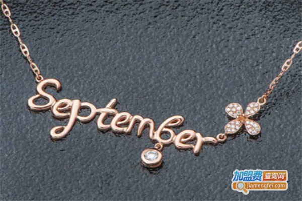 中地黄金加盟费