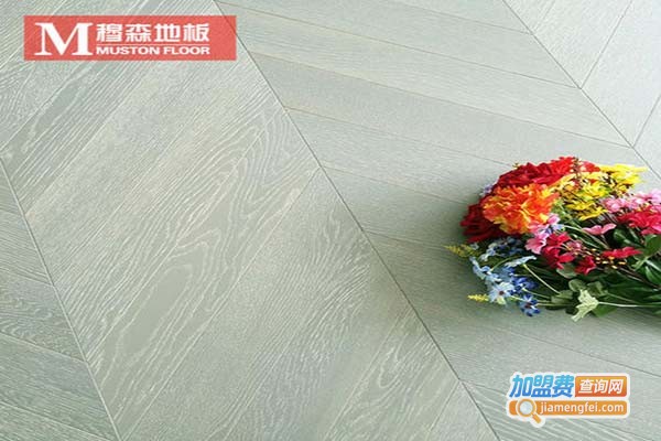 皖国古都地板加盟门店