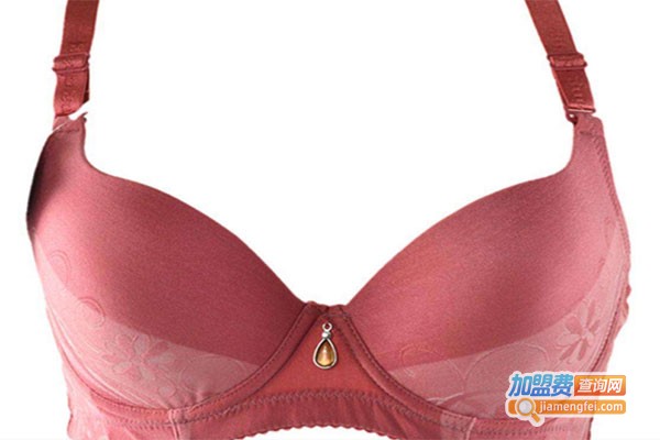 丽彤内衣加盟费