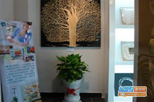 宝丽斯背景墙加盟费