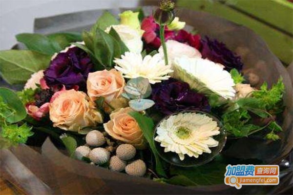 维纳斯鲜花礼品加盟费