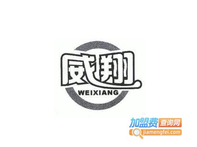 威翔童装加盟费