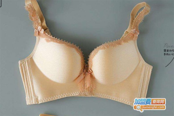 艾丽馨内衣加盟费