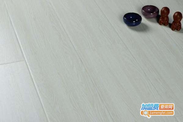 盛帝雅地板加盟门店