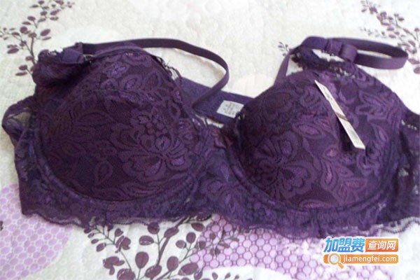 洁尔爽内衣加盟费