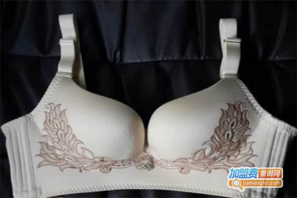 洁尔爽内衣加盟费