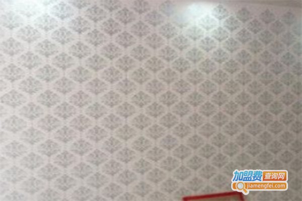 新坐标液体壁纸加盟费