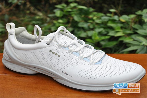 布履步彩女鞋加盟费