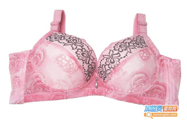 路伊梵内衣加盟费