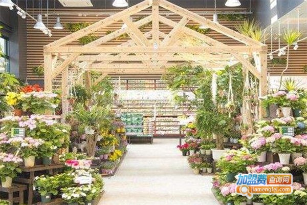 花仙缘花店加盟_开店加盟花仙缘花店利润高回报大！