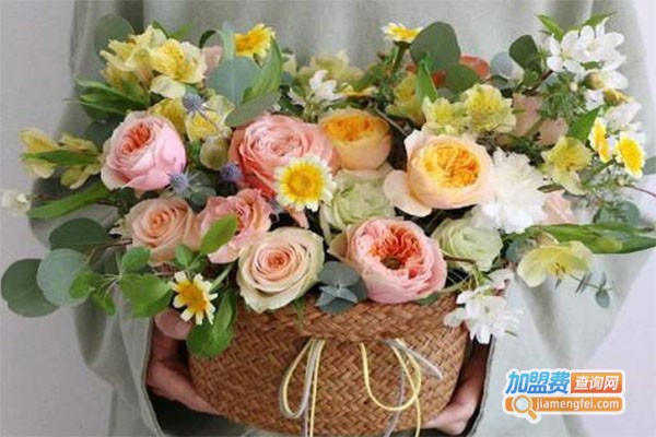 维纳斯鲜花礼品加盟费