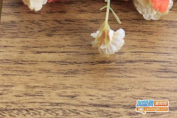 豪森地板加盟门店