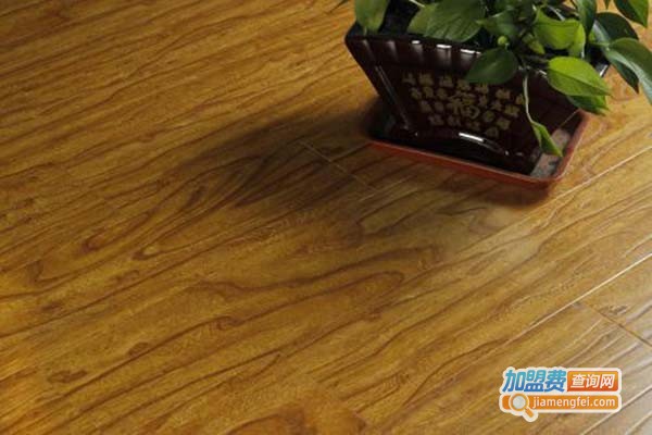 盛帝雅地板加盟门店