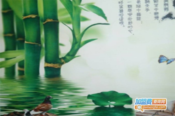 倍康硅藻泥加盟费