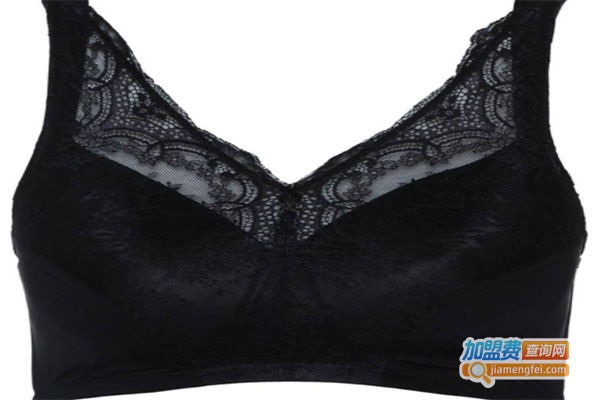 原紫内衣加盟费