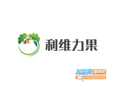 利维力果童装加盟费