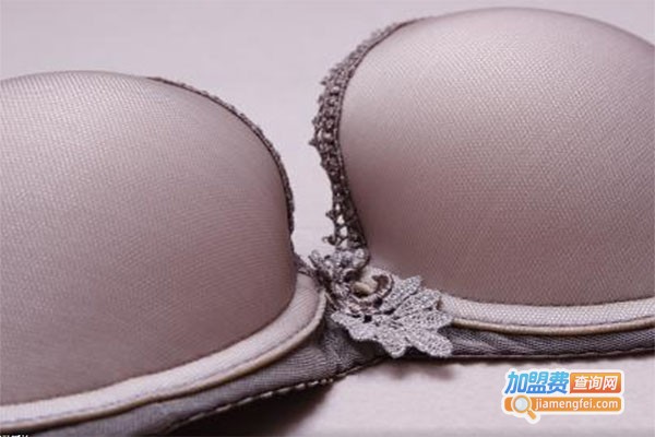 路伊梵内衣加盟费