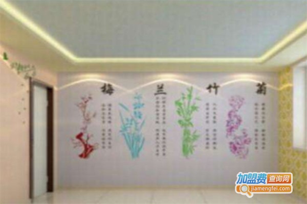 彩艺硅藻泥加盟费