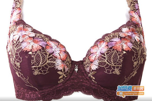 炜基内衣加盟费