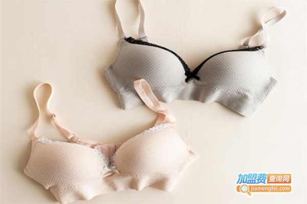 Aidimi日韩内衣加盟费