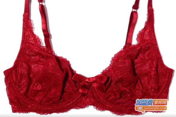 锐赢内衣加盟费