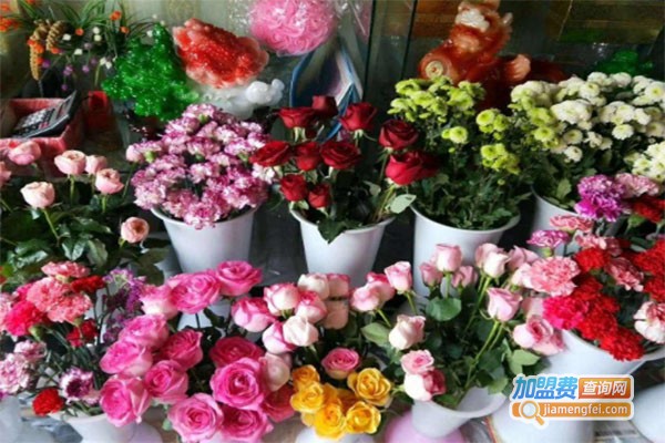 韦爵爷鲜花礼品店加盟费