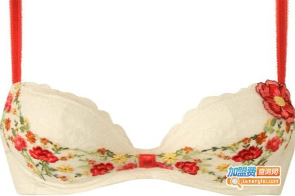 梦之依内衣加盟费