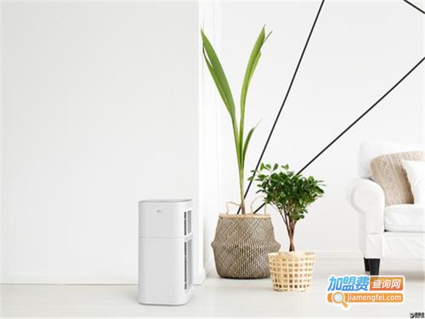 欣诺可空气净化加盟费