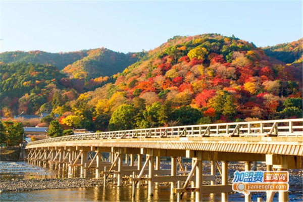 岚山有爱加盟费