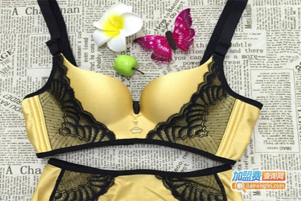 懿美睿内衣加盟费