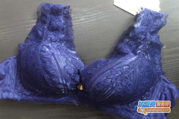 成伟内衣加盟费