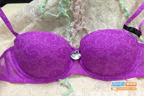 雅纶内衣加盟费