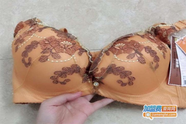 都市佳人风内衣加盟费