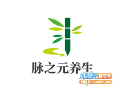 脉之元养生加盟费