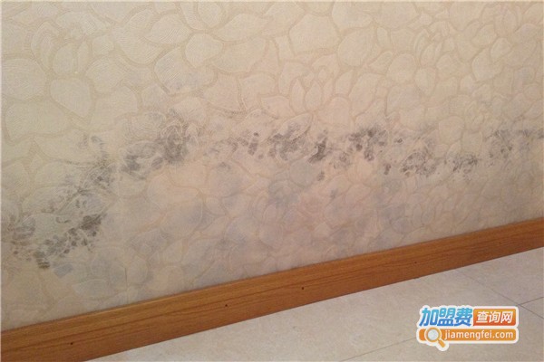 城市素颜墙布加盟费